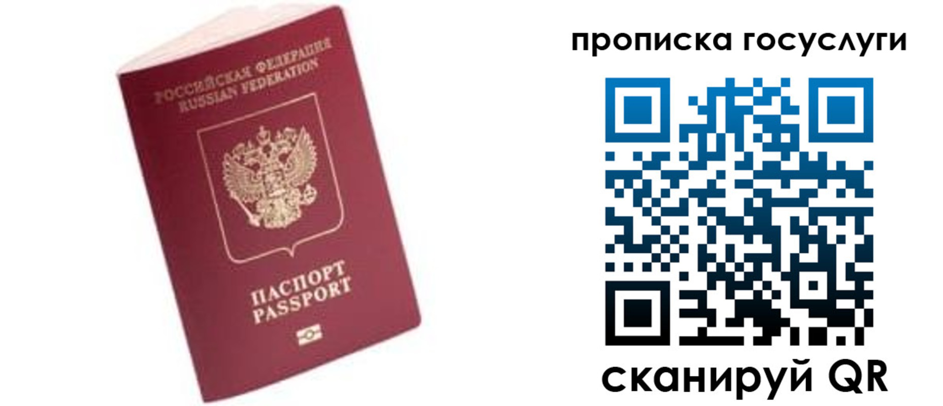 прописка в Жирновске